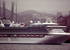 m/v "Diamond princess"
