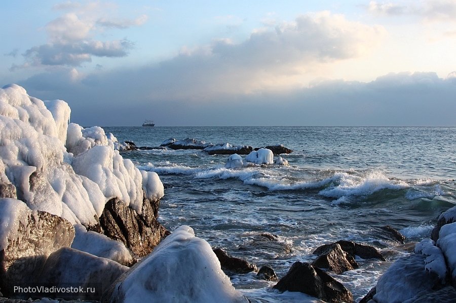 Морской прогноз приморский. Японское море Владивосток. Владивосток природа тихий океан. Находка Приморский край океан. Приморский край большой камень тихий океан.